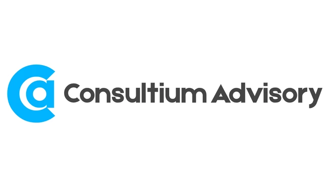 Web Design 23 Consultium Advisory